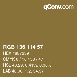 Color code: RGB 136 114 57 | qconv.com