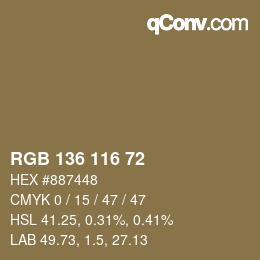 Color code: RGB 136 116 72 | qconv.com