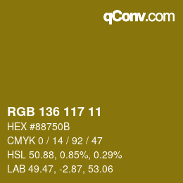 Color code: RGB 136 117 11 | qconv.com