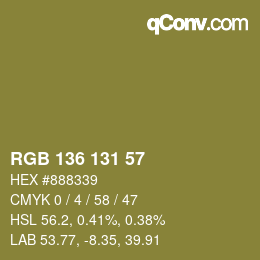 Color code: RGB 136 131 57 | qconv.com