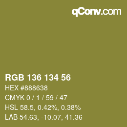 Color code: RGB 136 134 56 | qconv.com