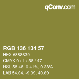 Color code: RGB 136 134 57 | qconv.com