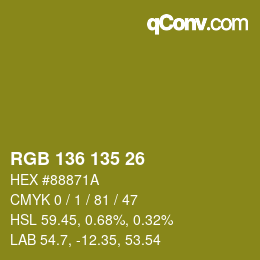 Color code: RGB 136 135 26 | qconv.com