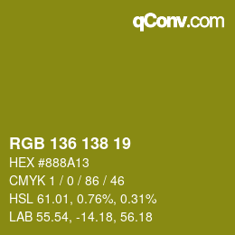 Color code: RGB 136 138 19 | qconv.com