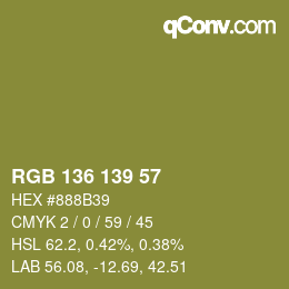 Color code: RGB 136 139 57 | qconv.com