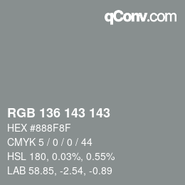 Color code: RGB 136 143 143 | qconv.com