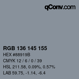 Color code: RGB 136 145 155 | qconv.com