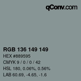 Color code: RGB 136 149 149 | qconv.com