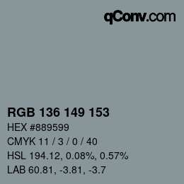Color code: RGB 136 149 153 | qconv.com
