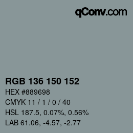 Color code: RGB 136 150 152 | qconv.com
