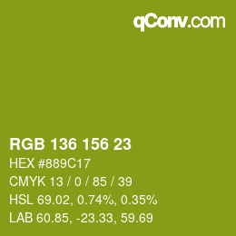 Color code: RGB 136 156 23 | qconv.com