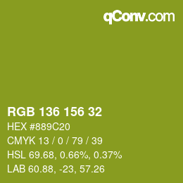 Farbcode: RGB 136 156 32 | qconv.com