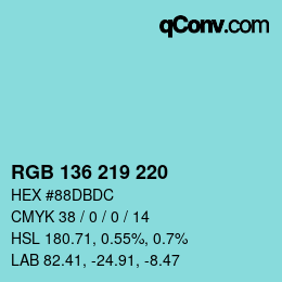 Color code: RGB 136 219 220 | qconv.com