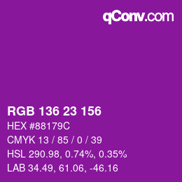 Color code: RGB 136 23 156 | qconv.com