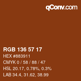 Color code: RGB 136 57 17 | qconv.com