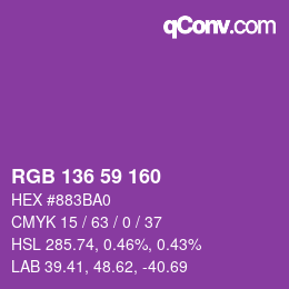 Color code: RGB 136 59 160 | qconv.com