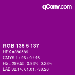 Color code: RGB 136 5 137 | qconv.com