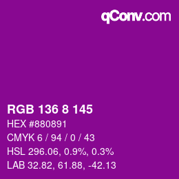 颜色代码: RGB 136 8 145 | qconv.com