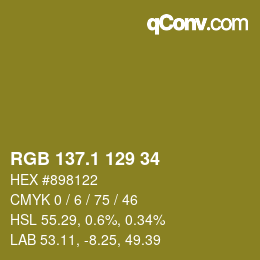 カラーコード: RGB 137.1 129 34 | qconv.com