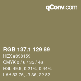 Color code: RGB 137.1 129 89 | qconv.com