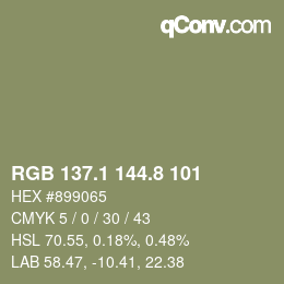 Color code: RGB 137.1 144.8 101 | qconv.com