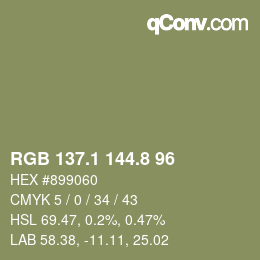 Color code: RGB 137.1 144.8 96 | qconv.com