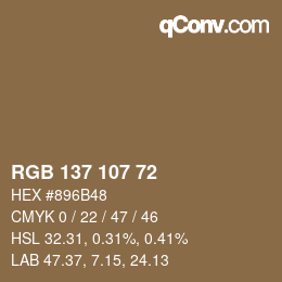 Farbcode: RGB 137 107 72 | qconv.com