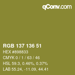 Color code: RGB 137 136 51 | qconv.com
