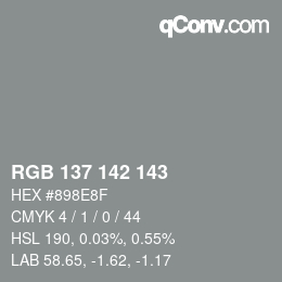 Color code: RGB 137 142 143 | qconv.com