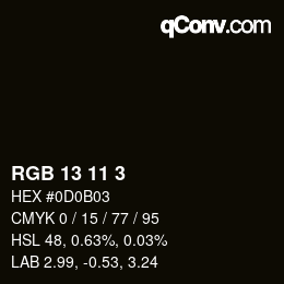 Color code: RGB 13 11 3 | qconv.com