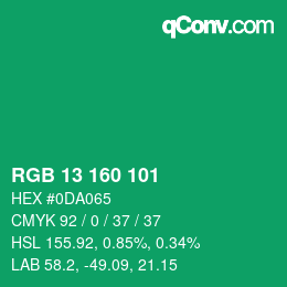 Color code: RGB 13 160 101 | qconv.com