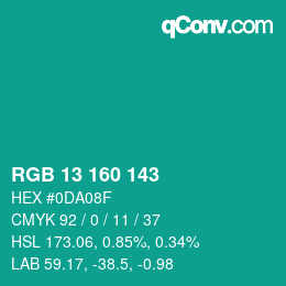 Color code: RGB 13 160 143 | qconv.com