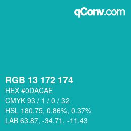 Color code: RGB 13 172 174 | qconv.com