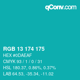 Color code: RGB 13 174 175 | qconv.com