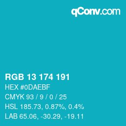 Color code: RGB 13 174 191 | qconv.com