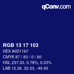 Farbcode: RGB 13 17 103 | qconv.com