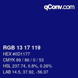 Color code: RGB 13 17 119 | qconv.com