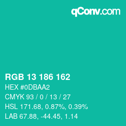 Color code: RGB 13 186 162 | qconv.com