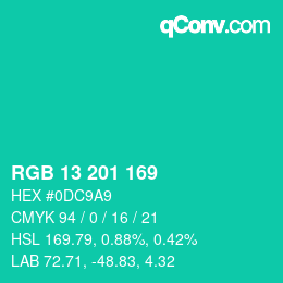 Color code: RGB 13 201 169 | qconv.com