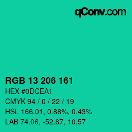 Color code: RGB 13 206 161 | qconv.com
