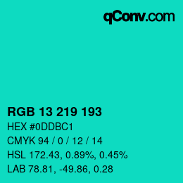 Color code: RGB 13 219 193 | qconv.com