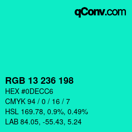 Color code: RGB 13 236 198 | qconv.com