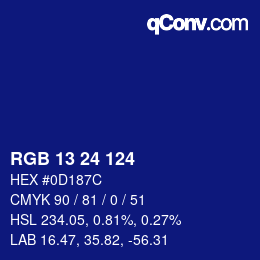 Color code: RGB 13 24 124 | qconv.com