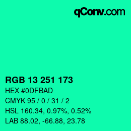 Color code: RGB 13 251 173 | qconv.com