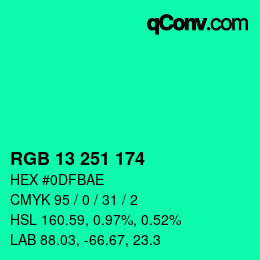 Color code: RGB 13 251 174 | qconv.com