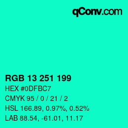 Color code: RGB 13 251 199 | qconv.com