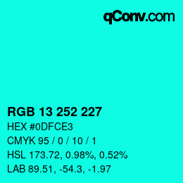 Color code: RGB 13 252 227 | qconv.com