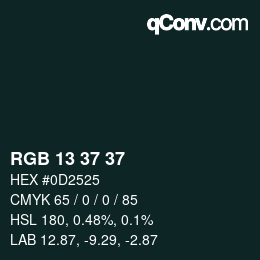 Color code: RGB 13 37 37 | qconv.com