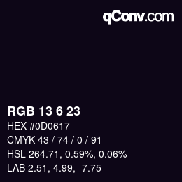 カラーコード: RGB 13 6 23 | qconv.com