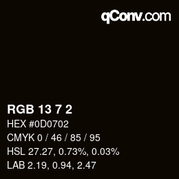 Color code: RGB 13 7 2 | qconv.com